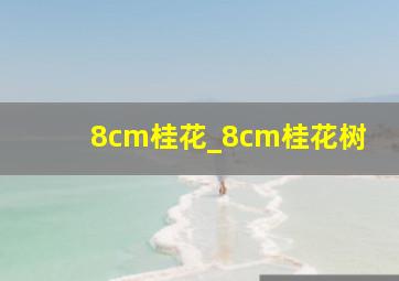 8cm桂花_8cm桂花树