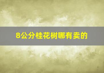 8公分桂花树哪有卖的