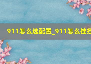 911怎么选配置_911怎么挂挡