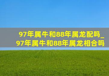 97年属牛和88年属龙配吗_97年属牛和88年属龙相合吗