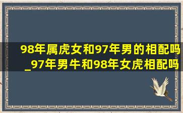 98年属虎女和97年男的相配吗_97年男牛和98年女虎相配吗