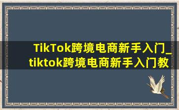 TikTok跨境电商新手入门_tiktok跨境电商新手入门教程