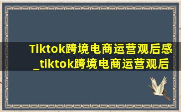 Tiktok跨境电商运营观后感_tiktok跨境电商运营观后感怎么写
