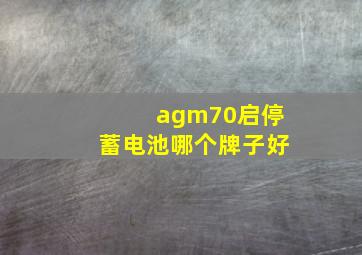 agm70启停蓄电池哪个牌子好