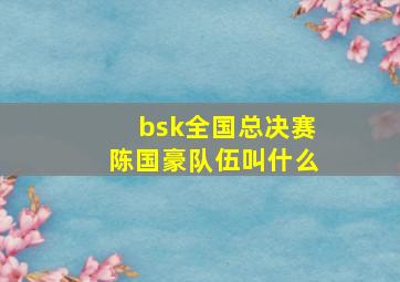 bsk全国总决赛陈国豪队伍叫什么