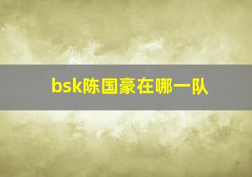 bsk陈国豪在哪一队