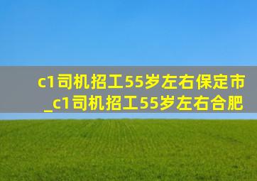 c1司机招工55岁左右保定市_c1司机招工55岁左右合肥