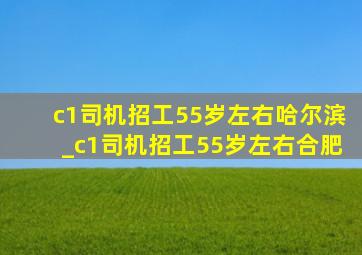 c1司机招工55岁左右哈尔滨_c1司机招工55岁左右合肥