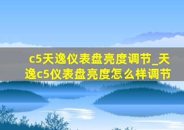 c5天逸仪表盘亮度调节_天逸c5仪表盘亮度怎么样调节