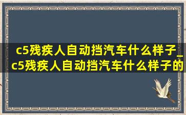 c5残疾人自动挡汽车什么样子_c5残疾人自动挡汽车什么样子的