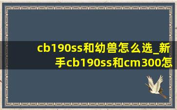 cb190ss和幼兽怎么选_新手cb190ss和cm300怎么选