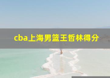 cba上海男篮王哲林得分