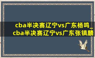 cba半决赛辽宁vs广东杨鸣_cba半决赛辽宁vs广东张镇麟