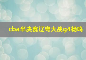 cba半决赛辽粤大战g4杨鸣