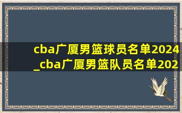 cba广厦男篮球员名单2024_cba广厦男篮队员名单2024