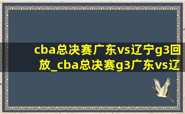 cba总决赛广东vs辽宁g3回放_cba总决赛g3广东vs辽宁(低价烟批发网)回放