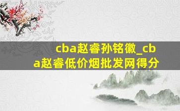 cba赵睿孙铭徽_cba赵睿(低价烟批发网)得分