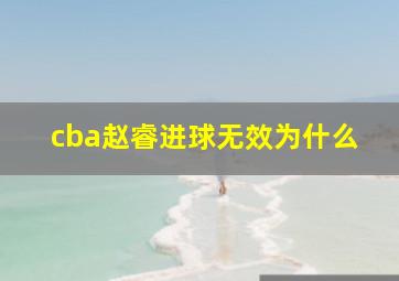 cba赵睿进球无效为什么