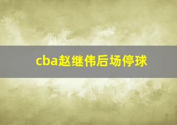 cba赵继伟后场停球