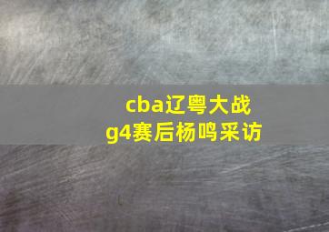 cba辽粤大战g4赛后杨鸣采访