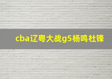 cba辽粤大战g5杨鸣杜锋