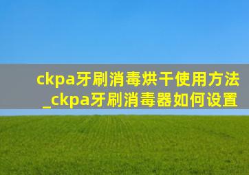 ckpa牙刷消毒烘干使用方法_ckpa牙刷消毒器如何设置