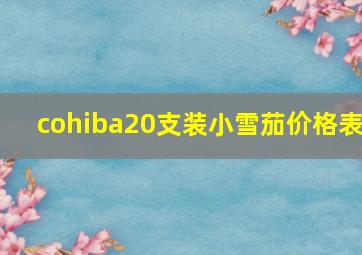 cohiba20支装小雪茄价格表