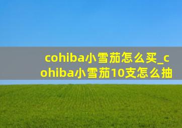 cohiba小雪茄怎么买_cohiba小雪茄10支怎么抽