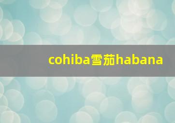 cohiba雪茄habana