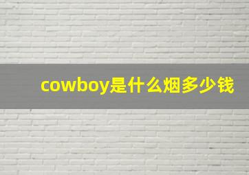 cowboy是什么烟多少钱