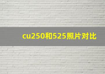 cu250和525照片对比