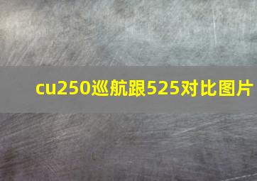 cu250巡航跟525对比图片