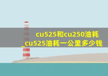 cu525和cu250油耗_cu525油耗一公里多少钱