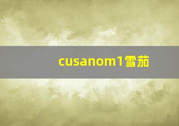 cusanom1雪茄