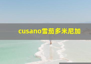 cusano雪茄多米尼加