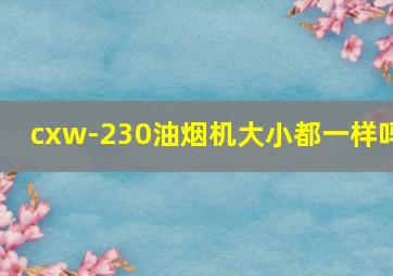 cxw-230油烟机大小都一样吗