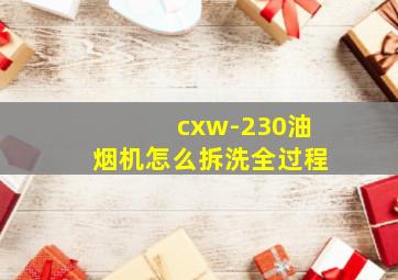 cxw-230油烟机怎么拆洗全过程