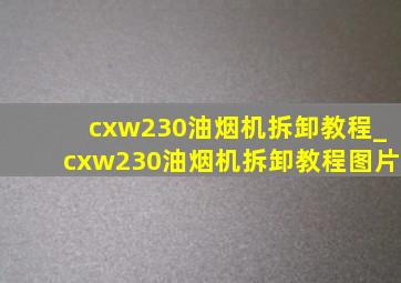 cxw230油烟机拆卸教程_cxw230油烟机拆卸教程图片