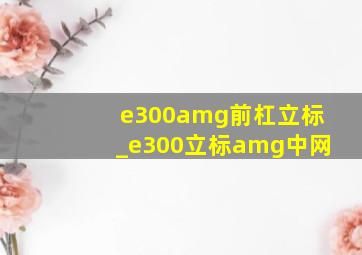 e300amg前杠立标_e300立标amg中网