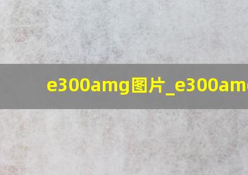 e300amg图片_e300amg2017