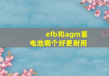 efb和agm蓄电池哪个好更耐用