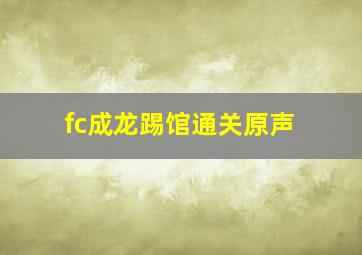 fc成龙踢馆通关原声