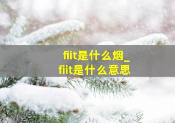 fiit是什么烟_fiit是什么意思