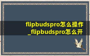 flipbudspro怎么操作_flipbudspro怎么开启降噪