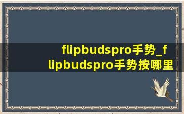 flipbudspro手势_flipbudspro手势按哪里