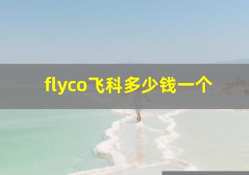 flyco飞科多少钱一个