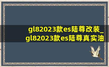 gl82023款es陆尊改装_gl82023款es陆尊真实油耗