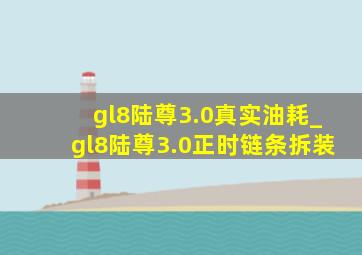 gl8陆尊3.0真实油耗_gl8陆尊3.0正时链条拆装