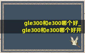 gle300和e300哪个好_gle300和e300哪个好开