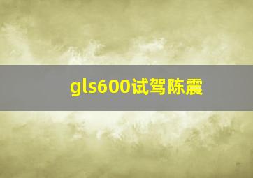 gls600试驾陈震